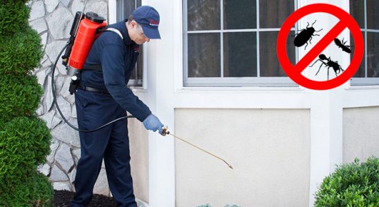 Taşkent Bit İlaçlama böcek ilaçlama ve haşere kontrolü — ilaclama-tr.com